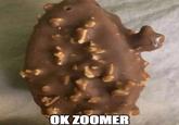 OK ZOOMER