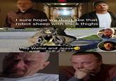 I sure hope we don't see that robot sheep with thick thighs Hey Walter and Jesse