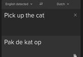 English detected Dutch v Pick up the cat Pak de kat op