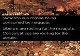 America "America is a corpse being consumed by maggots. Liberals are rooting for the maggots. Conservatives are rooting for the corpse."
