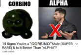 GORBINO ALPHA 15 Signs You're a "GORBINO"Male (SUPER RARE) & Is it Better Than "ALPHA"? 134K views