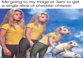 Stay Healthy Me going to my fridge at 3am to get a single slice of cheddar cheese: