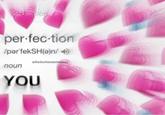 tion per-fec-tion /par'fekSH(a)n/ ) wholechomememes noun YOU
