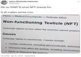 NFT Stands for Non-Functioning Testicle ... Oasus #FreeAster Plainsview @ltsOasus Oh so THAT'S what NFT stands for. It all makes sense now. Home Medical Encyclopedia- Testicular failure Non-functioning Testicle (NFT) Testicular failure occurs when the testicles cannot produce Causes Testicular failure is uncommon. Causes include: • Certain medicines, including glucocorticoids, ketocona • Diseases that affect the testicle, including hemochroma Injury or trauma to the testicles 10:11 PM - Jan 10, 2022 - TweetDeck
