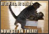 Ifit Fits, Itships NOW GET IN THERE!