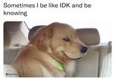 Sometimes I be like IDK and be knowing ADoggoNews