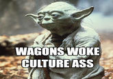 WAGONS WOKE CULTÜRE ASS