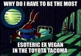 WHY DO I HAVE TO BE THE MOST ESOTERIC EX VEGAN IN THE TOYOTA TACOMA imgflip.com