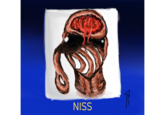NISS