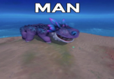 MAN