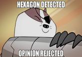 HEXAGON DETECTED OPINION REJECTED