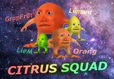 Lémont GrapFrüt LieM Orang CITRUS SQUAD