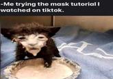 -Me trying the mask tutorial I watched on tiktok.