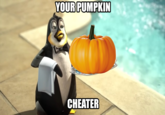 YOUR PUMPKIN CHEATER