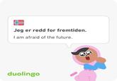 Jeg er redd for fremtiden. I am afraid of the future. duolingo