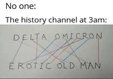 No one: The history channel at 3am: DELTA OMICRON EROTIC OLD MAN