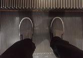 The lines and the shoes