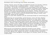 AndromedaPrincess • 7h 02 Koalas are f------ horrible animals. They have one of the smallest brain to body ratios of any mammal, additionally - their brains are smooth. A brain is folded to increase the surface area for neurons. If you present a koala with leaves plucked from a branch, laid on a flat surface, the koala will not recognise it as food. They are too thick to adapt their feeding behaviour to cope with change. In a room full of potential food, they can literally starve to death. This is not the token of an animal that is winning at life. Speaking of stupidity and food, one of the likely reasons for their primitive brains is the fact that additionally to being poisonous, eucalyptus leaves (the only thing they eat) have almost no nutritional value. They can't afford the extra energy to think, they sleep more than 80% of their f------ lives. When they are awake all they do is eat, s--- and occasionally scream like f------ satan. Because eucalyptus leaves hold such little nutritional value, koalas have to ferment the leaves in their guts for days on end. Unlike their brains, they have the largest hind gut to body ratio of any mammal.