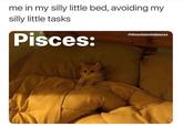 me in my silly little bed, avoiding my silly little tasks Pisces: @theexistentialpisces
