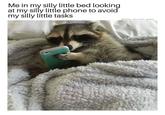 Me in my silly little bed looking at my silly little phone to avoid my silly little tasks @insta_raccoon_gram