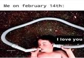 Me on february 14th: I love you