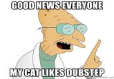 GOOD NEWS EVERYONE MY CAT LIKES DUBSTEP memegenerator.net