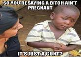 SO YOU'RE SAYING A BITCH AIN'T PREGNANT IT'S JUSTA GUNT?