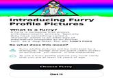 Introducing Furry Profile Pictures What is a furry? A furry is someone that enjoys anthropomorphic animals. Typically they have something called a "fursona" which is an alter ego of themselves imagined as an animal such as a dog, otter, fox, etc. Learn more So what does this mean? Furry profile pictures will be indicated by a triangular border and will grant users access to exclusive "yiff rooms" in the metaverse To use a furry profile picture you must verify that you are at least 18 years of age (18+ Choose Furry Got it