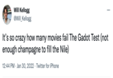 Will Kellogg @Will_Kellogg WING ... It's so crazy how many movies fail The Gadot Test (not enough champagne to fill the Nile) 12:44 PM · Jan 30, 2022 · Twitter for iPhone