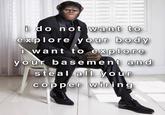 i do not want to explore your body i want to explore your basement and steal all your copper wiring