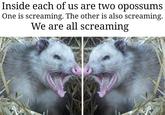 Inside each of us are two opossums One is screaming. The other is also screaming. We are all screaming