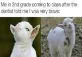 Me in 2nd grade coming to class after the dentist told me I was very brave: