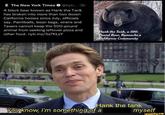 E The New York Times O @nyti. 3h A black bear known as Hank the Tank has broken into more than two dozen California homes since July, officials say. Paintballs, bean bags, sirens and Tasers cannot keep the 500-pound animal from seeking leftover pizza and other food. nyti.ms/3S7KLSY Hank the Tank, a 500- Pound Bear, Ransacks a California Community You know, I'm something of a Hank the tank myself ifunny.co