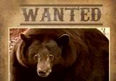 WANTED