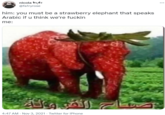 nicola tats @falryrose him: you must be a strawberry elephant that speaks Arabic if u think we're f----- me: 4:47 AM - Nov 3, 2021 - Twitter for iPhone