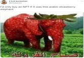 k hole kardashian @sowaasays l'd only buy an NFT if it was this arabic strawberry elephant