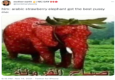| NIC DAY (+)* mother earth @nonbinarybooty him: arabic strawberry elephant got the best p---- me: 6:15 PM - Nov 14, 2021 - Twitter for iPhone