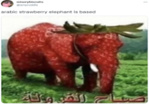 miserybiscuits @amyroddis arabic strawberry elephant is based