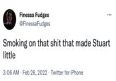 Finessa Fudges @FinessaFudges Smoking on that s--- that made Stuart little 3:06 AM · Feb 26, 2022 · Twitter for iPhone
