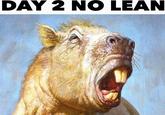 DAY 2 NO LEAN