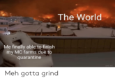 The World Me finally able to finish my MC farms due to quarantine Meh gotta grind