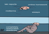 lab reports online homework midterms essays completely reasonable deadlines