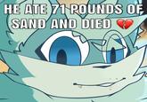 HE ATE 71 POUNDS OF SAND AND DIED