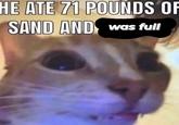 HE ATE 71 POUNDS OF SAND AND was full