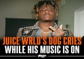 motörbeal JUICE WRLD'S DOG CRIES WHILE HIS MUSIC IS ON VIR