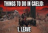 THINGS TO DO IN CAELID: 1. LEAVE