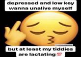 depressed and low key wanna unalive myself @sapphictrannymemes but at least my tiddies are lactating 700
