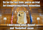 Sir for the last time, you're on trial for slaughtering ethnic minorities I don't know what“Based" and "Redpilled" mean