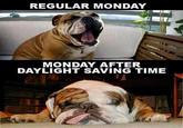 REGULAR MONDAY MONDAY AFTER DAYLIGHT SAVING TIME