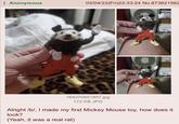 : Anonymous 03/04/22(Fri)22:33:24 No.873821562 164070951857.jpg 172 KB JPG Alright /b/, I made my first Mickey Mouse toy, how does it look? (Yeah, it was a real rat)